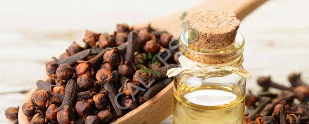 Comprar Clove Bud CO2 Extrae Aceite Esencial